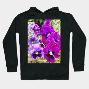 Pansies Hoodie